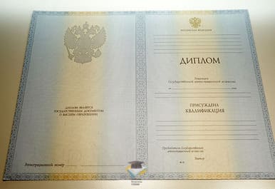 Диплом МИЭПП 2012-2013 годов